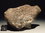 Meteorit NWA 11749 Eukrit "Main Mass" 181 g