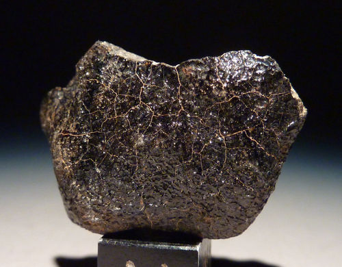 Meteorit Camel Donga Australien Eukrit 9,74 g
